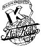 ital radio.jpg